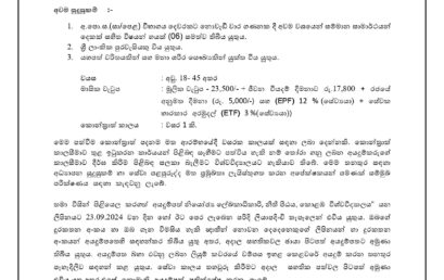 Vacancies at Faculty of Law