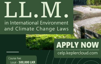 Applications for the LL.M. in IECCL 2024/25 are Now Open