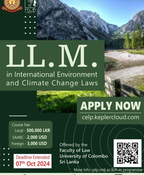 Applications for the LL.M. in IECCL 2024/25 are Now Open